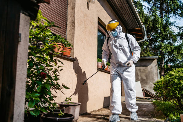 Best Exterminator Services  in Chevy Chase Village, MD