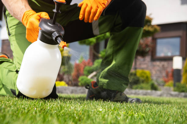 Best Bird Control  in Chevy Chase Village, MD