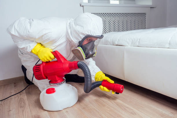 Best Cockroach Control Services  in Chevy Chase Village, MD