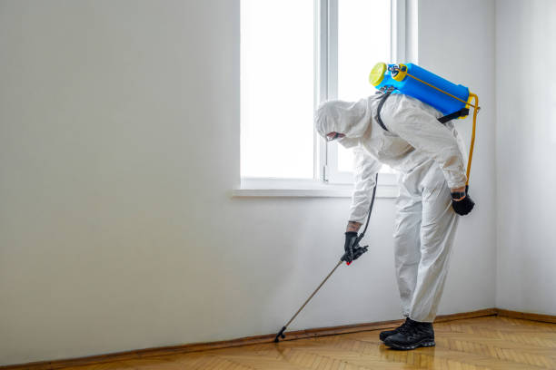 Best Pest Inspection Near Me  in Chevy Chase Village, MD
