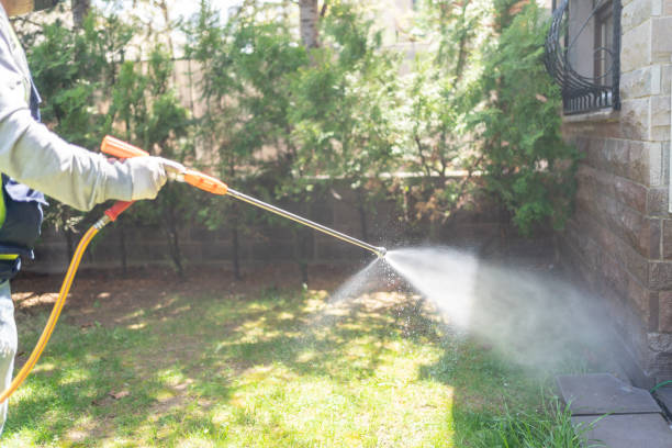 Best Bed Bug Extermination  in Chevy Chase Village, MD