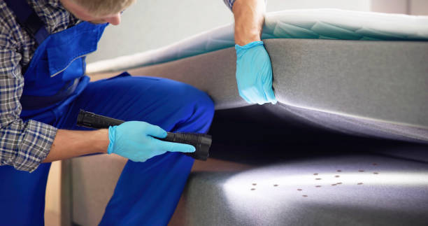 Best Affordable Pest Control Services  in Chevy Chase Village, MD