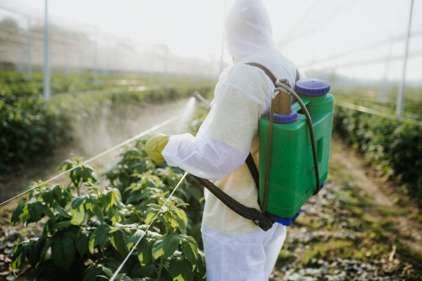 Best Best Pest Control Companies  in Chevy Chase Village, MD